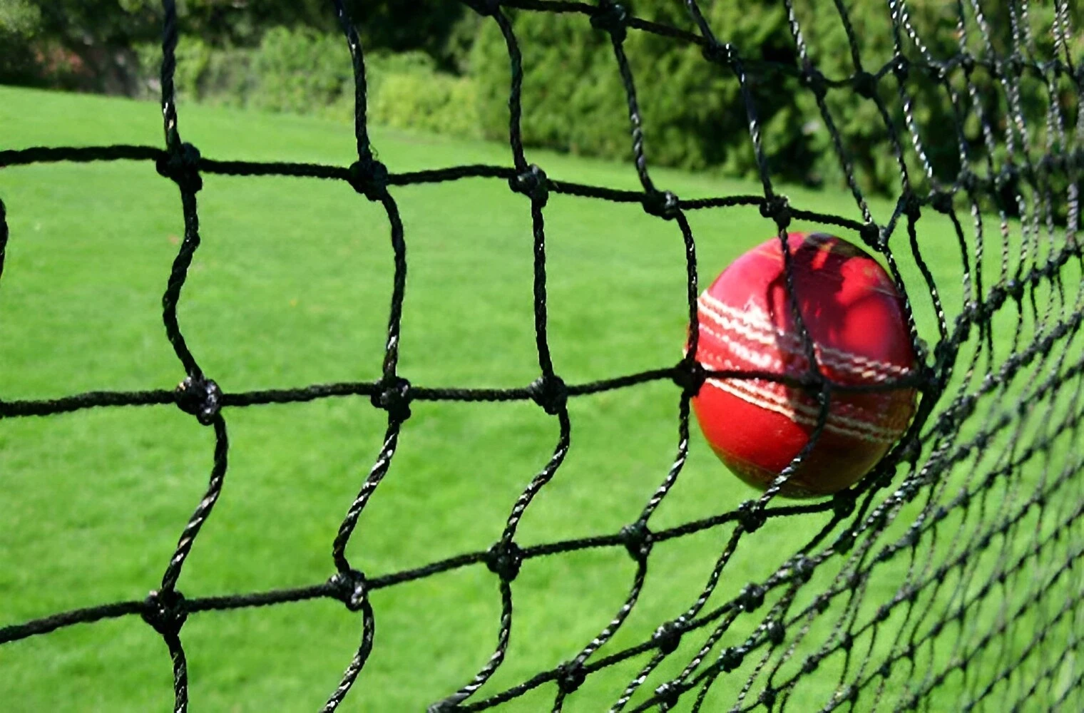 Cricket Net For Practice